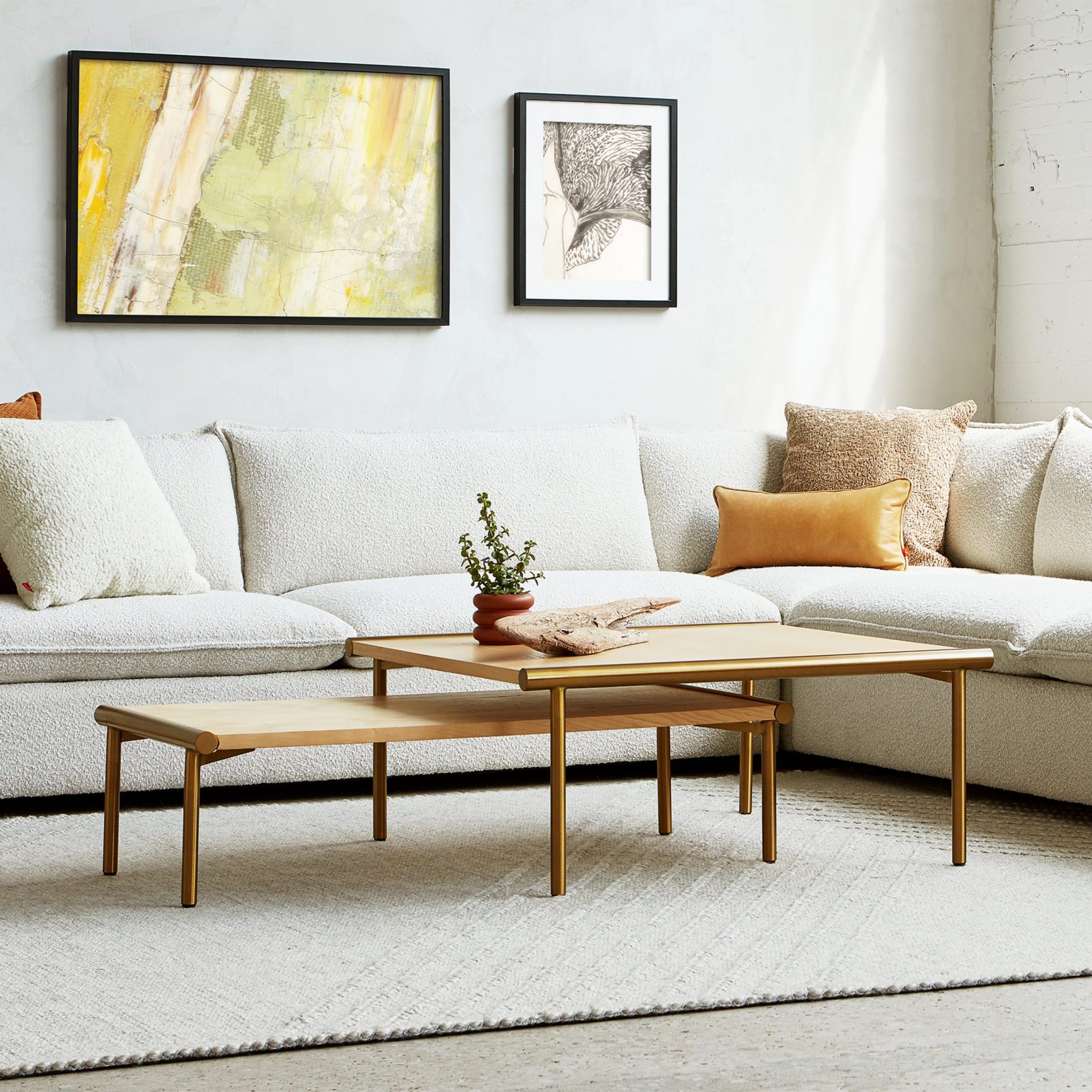 GUS Sola Bisectional GUS Sola Bisectional