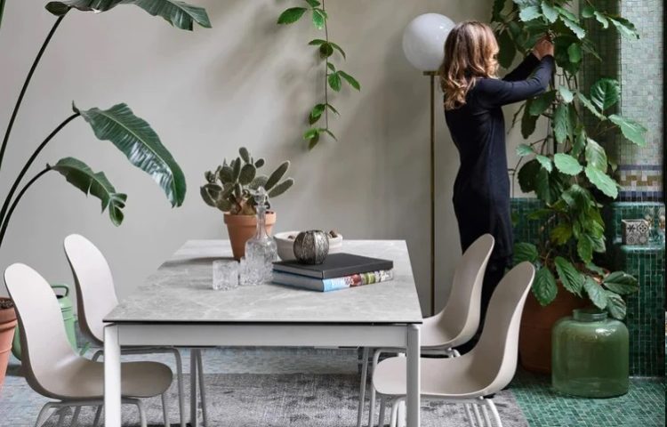 connubia dining vancover