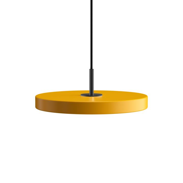 Asteria Mini Pendant Black Top
